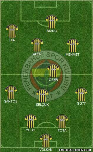 Fenerbahçe SK Formation 2011