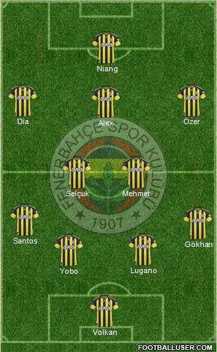 Fenerbahçe SK Formation 2011