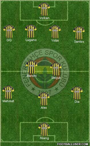 Fenerbahçe SK Formation 2011
