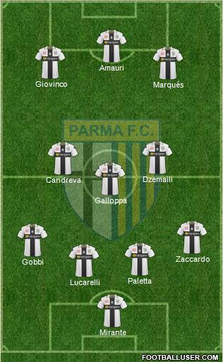 Parma Formation 2011