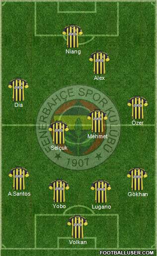 Fenerbahçe SK Formation 2011