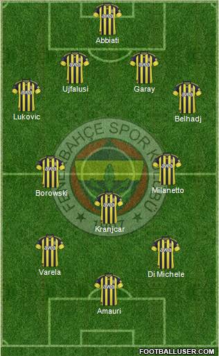 Fenerbahçe SK Formation 2011