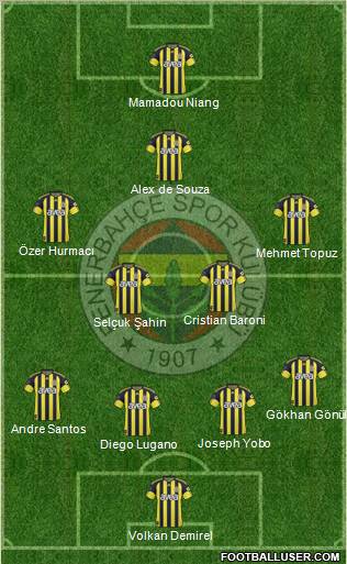 Fenerbahçe SK Formation 2011