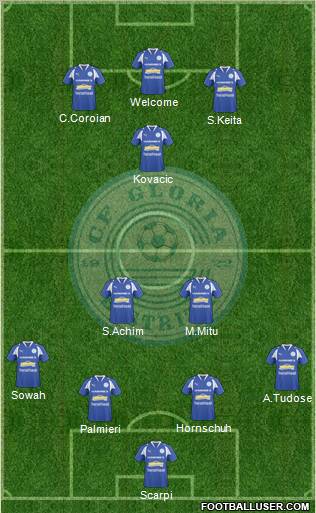 CF Gloria 1922 Bistrita Formation 2011