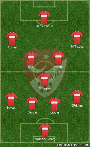 Turkey Formation 2011