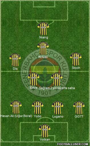 Fenerbahçe SK Formation 2011