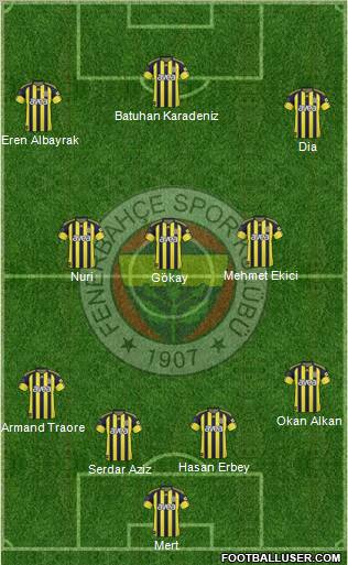 Fenerbahçe SK Formation 2011