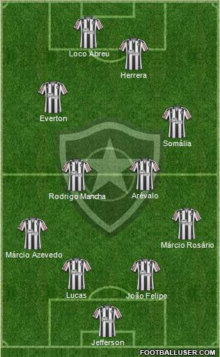 Botafogo FR Formation 2011