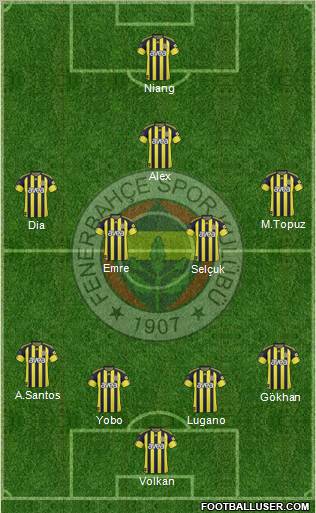 Fenerbahçe SK Formation 2011
