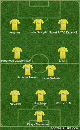 Torquay United Formation 2011