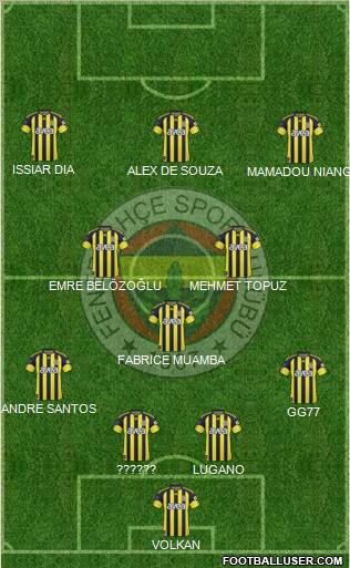 Fenerbahçe SK Formation 2011