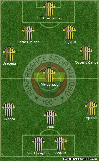 Fenerbahçe SK Formation 2011
