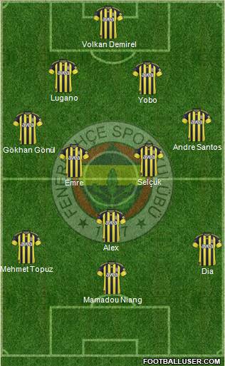 Fenerbahçe SK Formation 2011