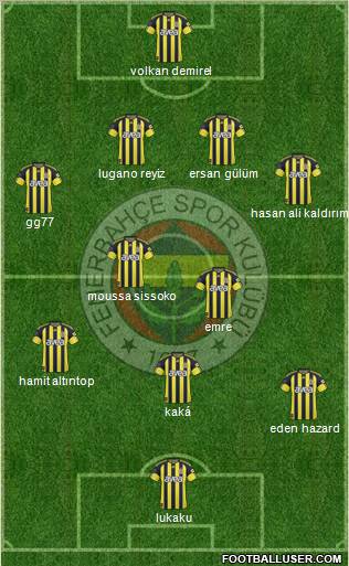 Fenerbahçe SK Formation 2011