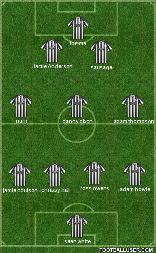 Newcastle United Formation 2011