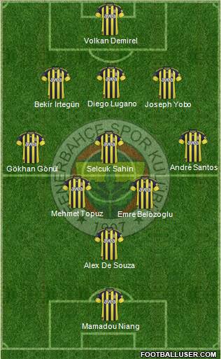 Fenerbahçe SK Formation 2011