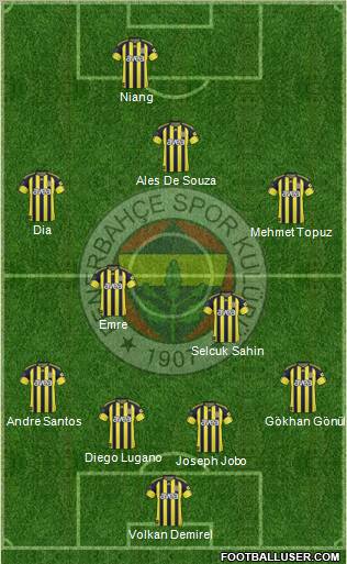 Fenerbahçe SK Formation 2011