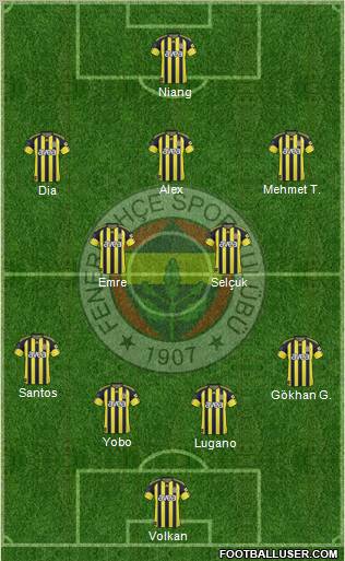 Fenerbahçe SK Formation 2011