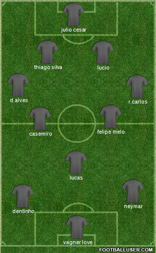 Botafogo EC Formation 2011