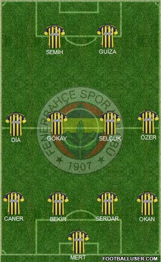 Fenerbahçe SK Formation 2011