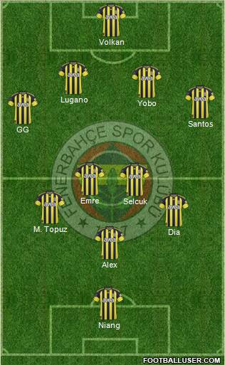 Fenerbahçe SK Formation 2011
