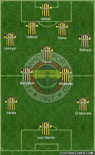 Fenerbahçe SK Formation 2011