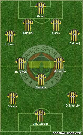 Fenerbahçe SK Formation 2011