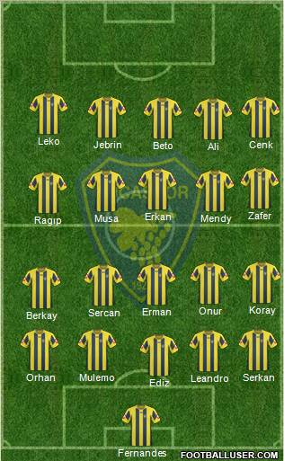 Bucaspor Formation 2011