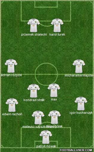 Gornik Leczna Formation 2011