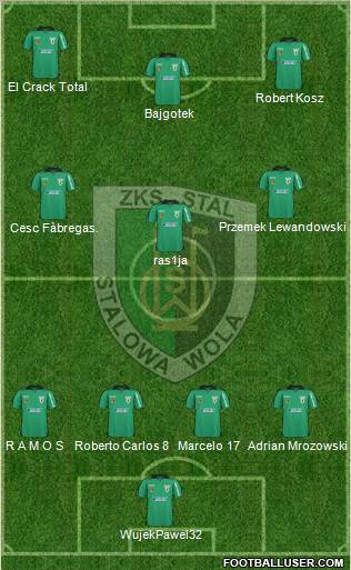 Stal Stalowa Wola Formation 2011