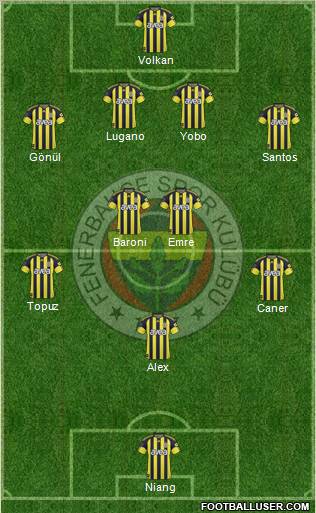 Fenerbahçe SK Formation 2011