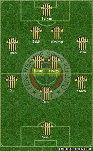 Fenerbahçe SK Formation 2011