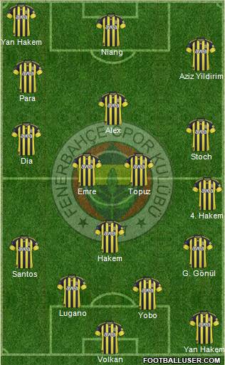 Fenerbahçe SK Formation 2011