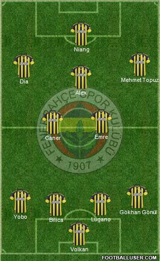 Fenerbahçe SK Formation 2011