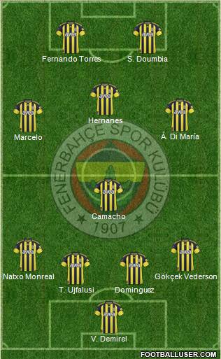 Fenerbahçe SK Formation 2011