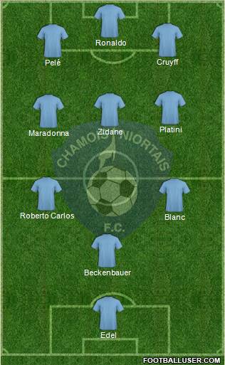 Chamois Niortais Football Club Formation 2011