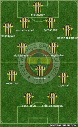 Fenerbahçe SK Formation 2011