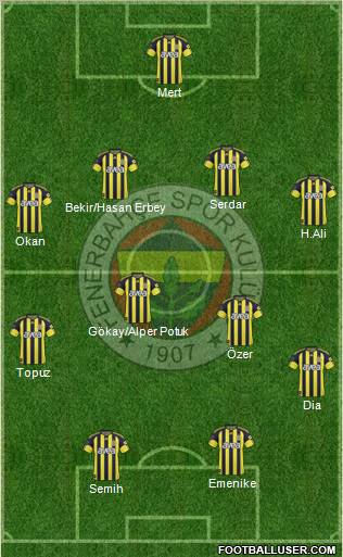Fenerbahçe SK Formation 2011