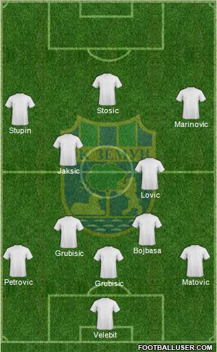 FK Zemun Formation 2011