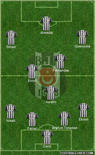 Besiktas JK Formation 2011