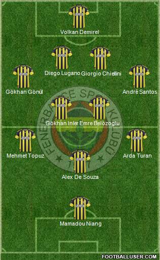 Fenerbahçe SK Formation 2011