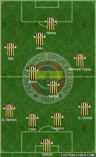 Fenerbahçe SK Formation 2011