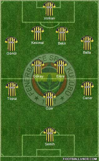 Fenerbahçe SK Formation 2011