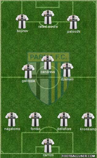 Parma Formation 2011