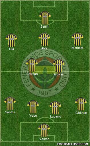 Fenerbahçe SK Formation 2011
