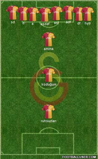 Galatasaray SK Formation 2011