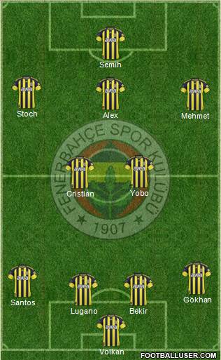 Fenerbahçe SK Formation 2011