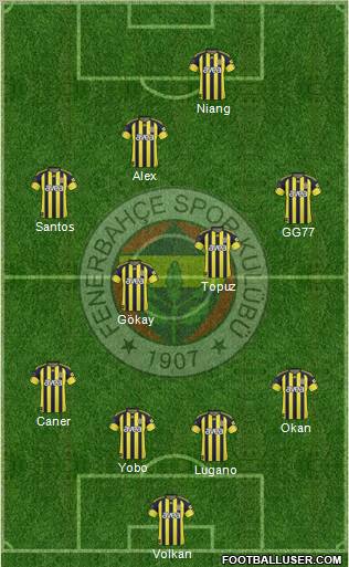 Fenerbahçe SK Formation 2011