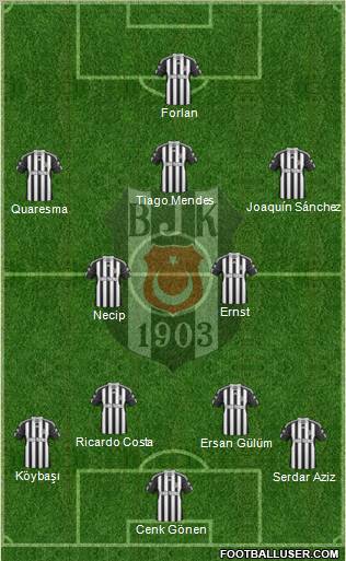 Besiktas JK Formation 2011