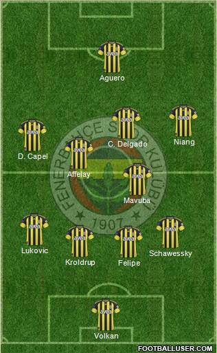 Fenerbahçe SK Formation 2011